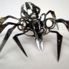 Barber Scissor Spider