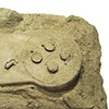 Dominaludus supernintendicus w/ matrix