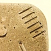Dexteludicrum repuerasco (brown)