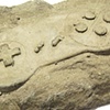 Dominaludus supernintendicus w/ matrix