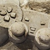 Modern Fossils