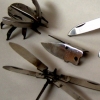 4 Bugs