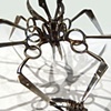 Large Scissor Spider with Captive Bug (2)