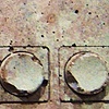 Dominaludus nintendicus (brown)