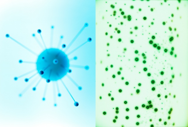 Pins in ball / Fluorescent light