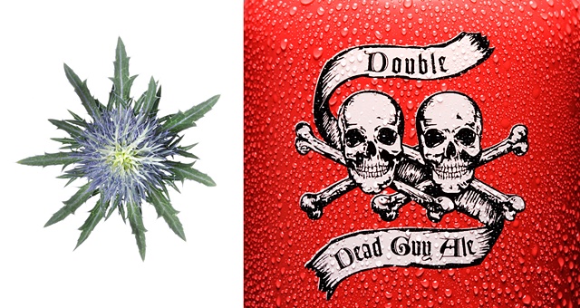 Thistle / Ale