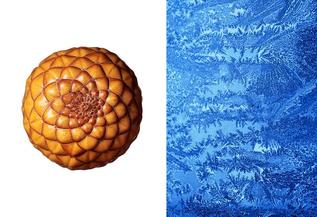 Ambulong Nut / Frost