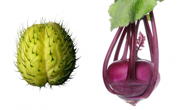 Jimson weed pod / Purple kohlrabi