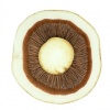 P-25 Flashbulb / White mushroom