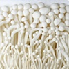 Enoki mushrooms