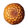 Ambulong Nut / Frost