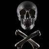 Spider / Skull and crossbones