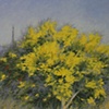 Arb&oacute;l Amarillo