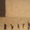 Aves de Desierto