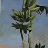 Brent Gearan