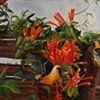 Pat Solem