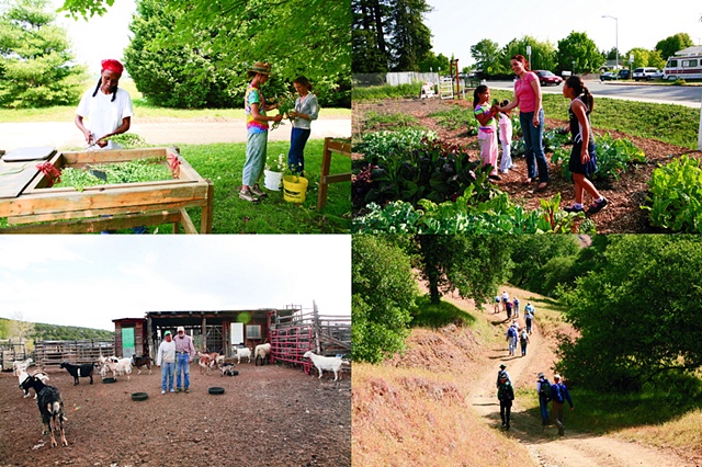 what moves you? documents diversity and social justice in land conservation 