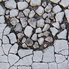 Concrete flower