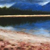 Truth: Grizzly Tracks at Tachodi Lake