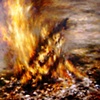Embers