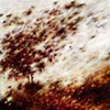 Storm Inside the Earth