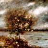 2007