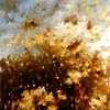 2004
