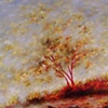 The Giving Tree