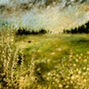 The Persistence of Pussy Willows