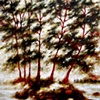 Kimiko's Haida Gwaii