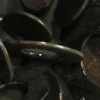 Bronzed
