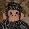 Curious George.