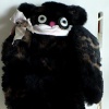 Furry Bear