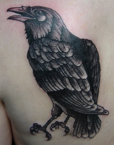 Raven