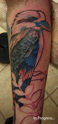 Kookabara