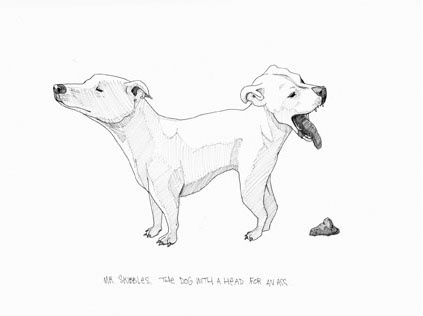 Mr Skibbles. The Dog With a Head For an Ass