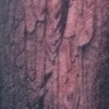 Knock on Wood