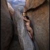 rocks.