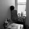 kitchen window.