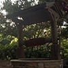 Wishing Well 