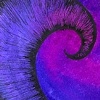 Purple Splash