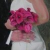 Wedding portrait 