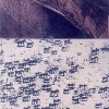 Herd