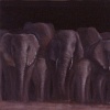Black Group