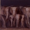 Brown Group