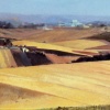 Spina I