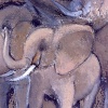 Little elephant