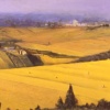 Spina Landscape 