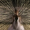 Lumiere D'Ampoule