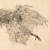 Dead bird through press